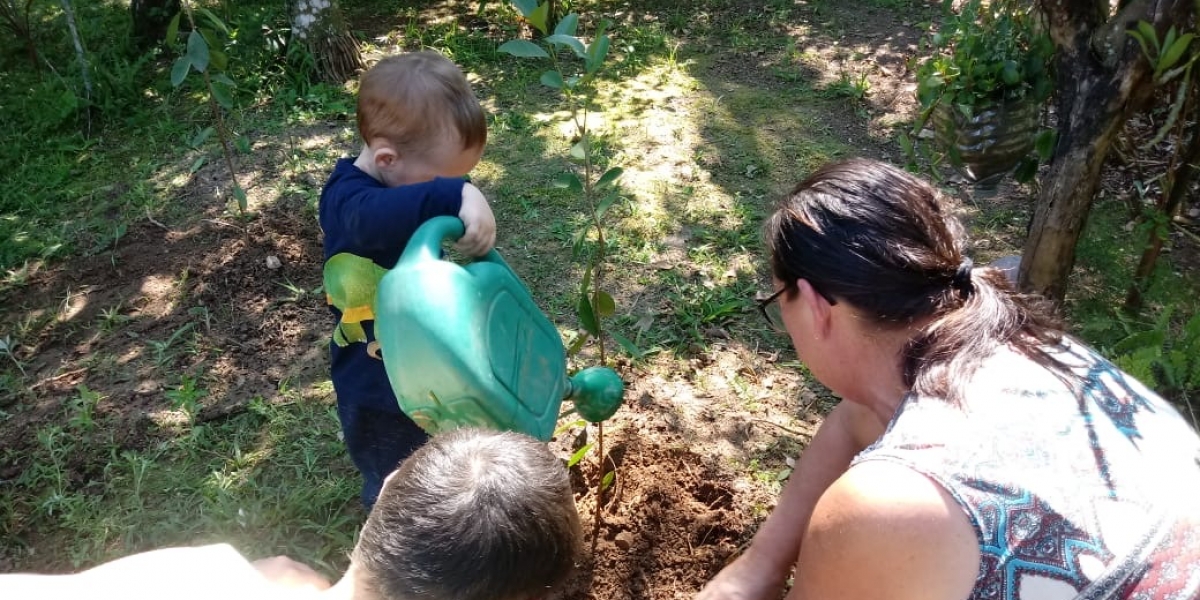 COOPERA entrega mudas em comemoração ao Dia da Árvore