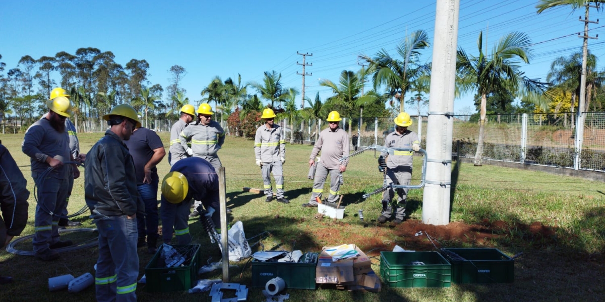 Coopera capacita colaboradores para atuação com redes compactas e reforça compromisso com qualidade do fornecimento de energia
